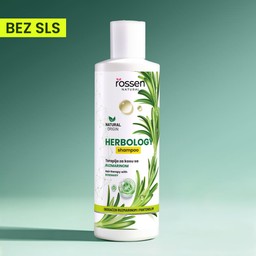 e7706e2f-693c-4dd9-99f2-69b0cebece4f